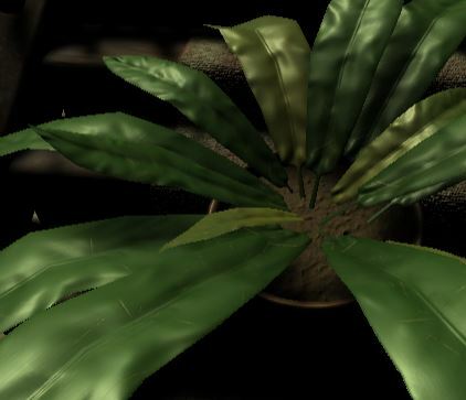 1. The Plant Journey. G