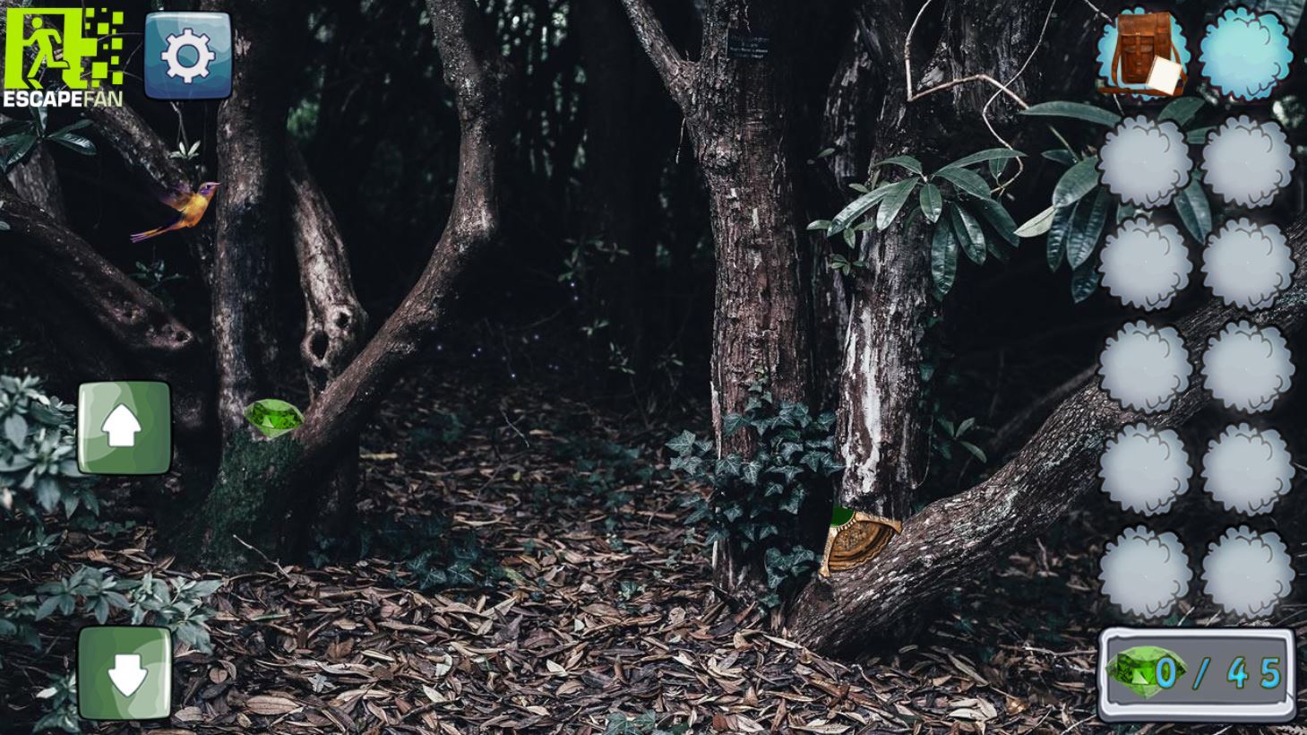 Mystic Sunset Forest