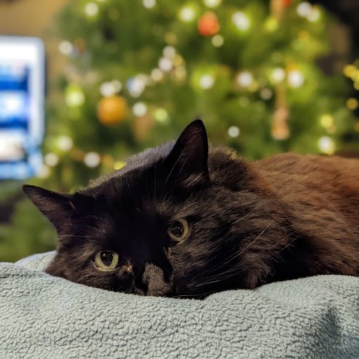 Erik Dewhurst's Very Fine Game About Games (it's fine)