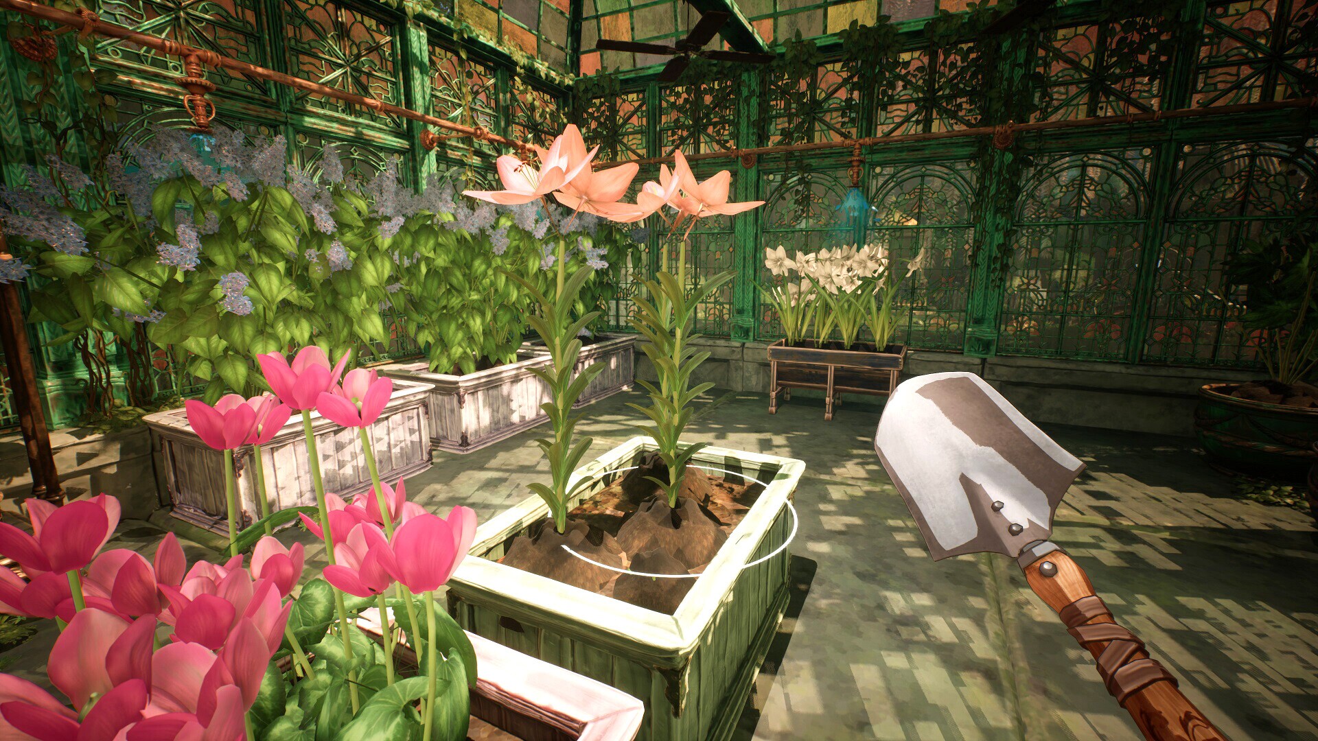 Image 4009058