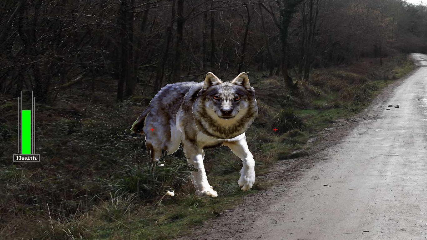 If you go down in the woods