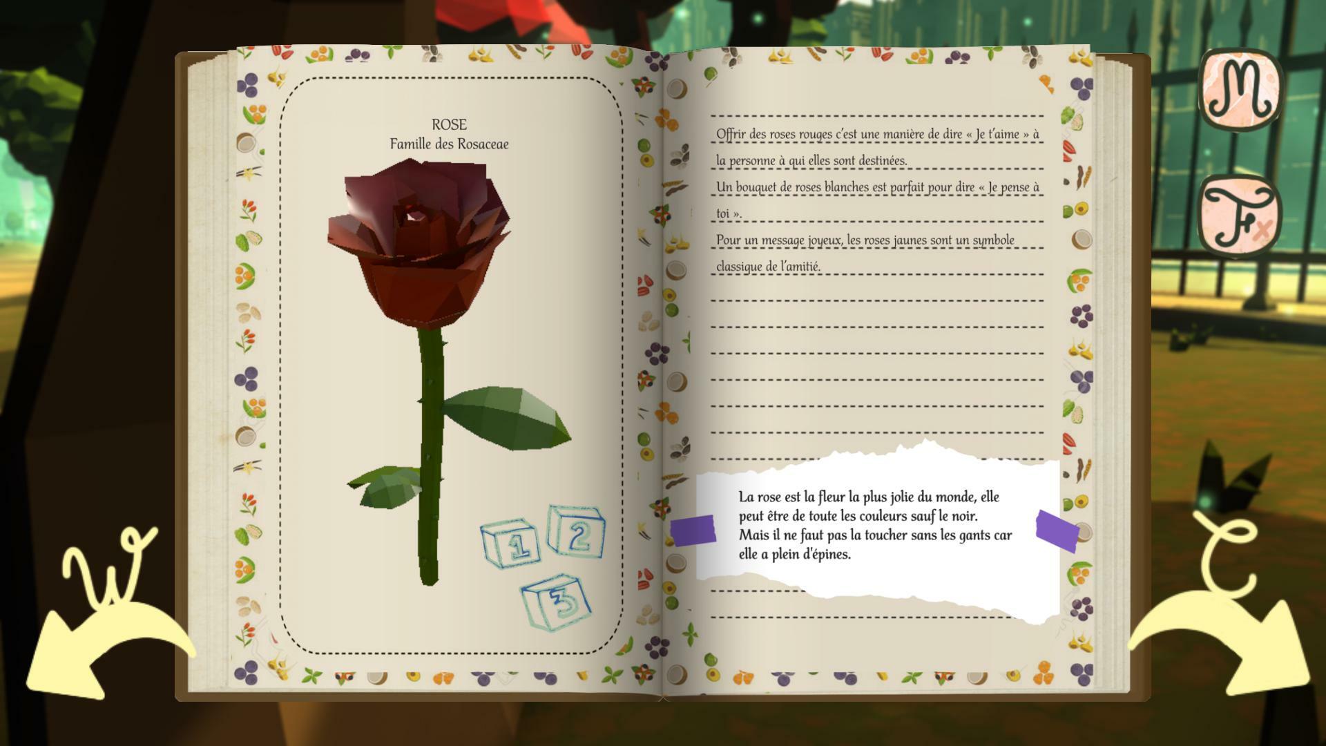 LYS (Killian Delias (crazyk1k1))