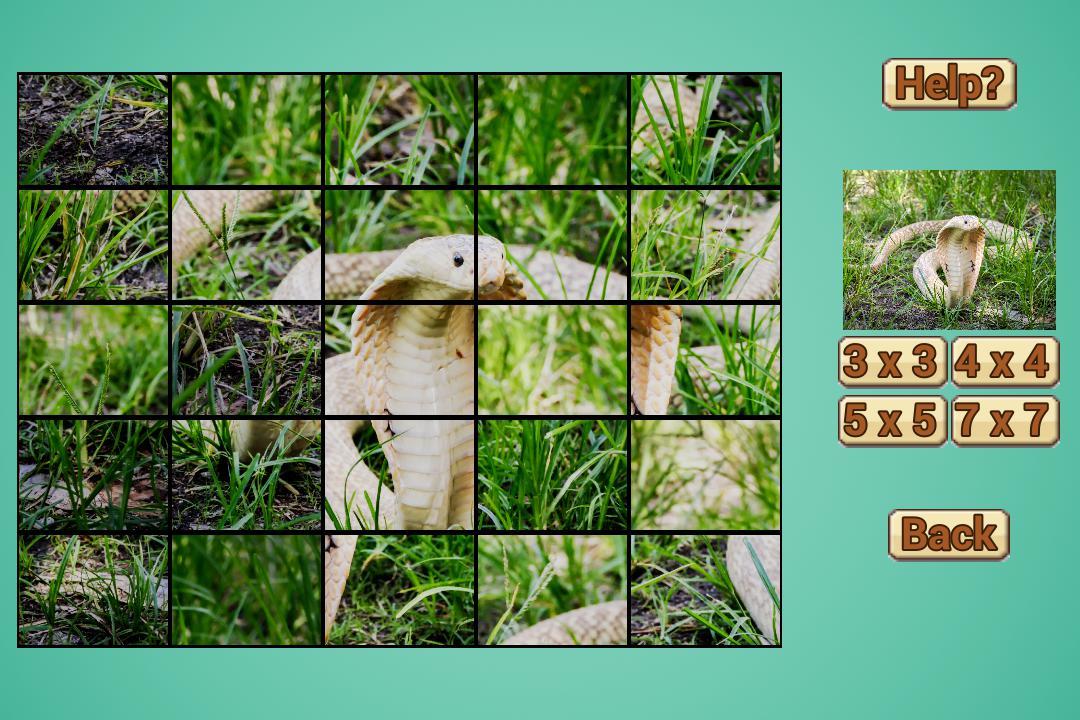 Snake Puzzle HD