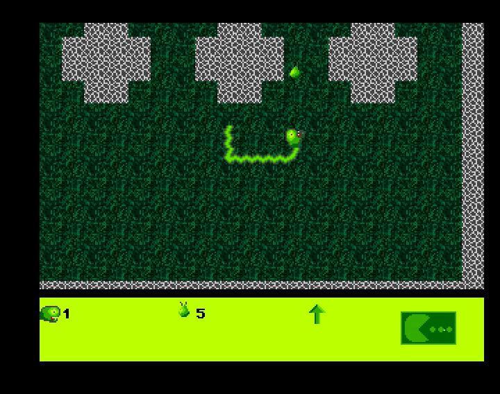 AmiSnakes screenshot