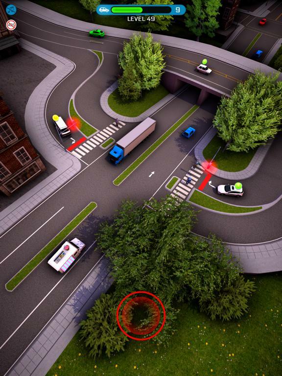 Crazy Traffic Control