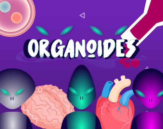 Organoïdes