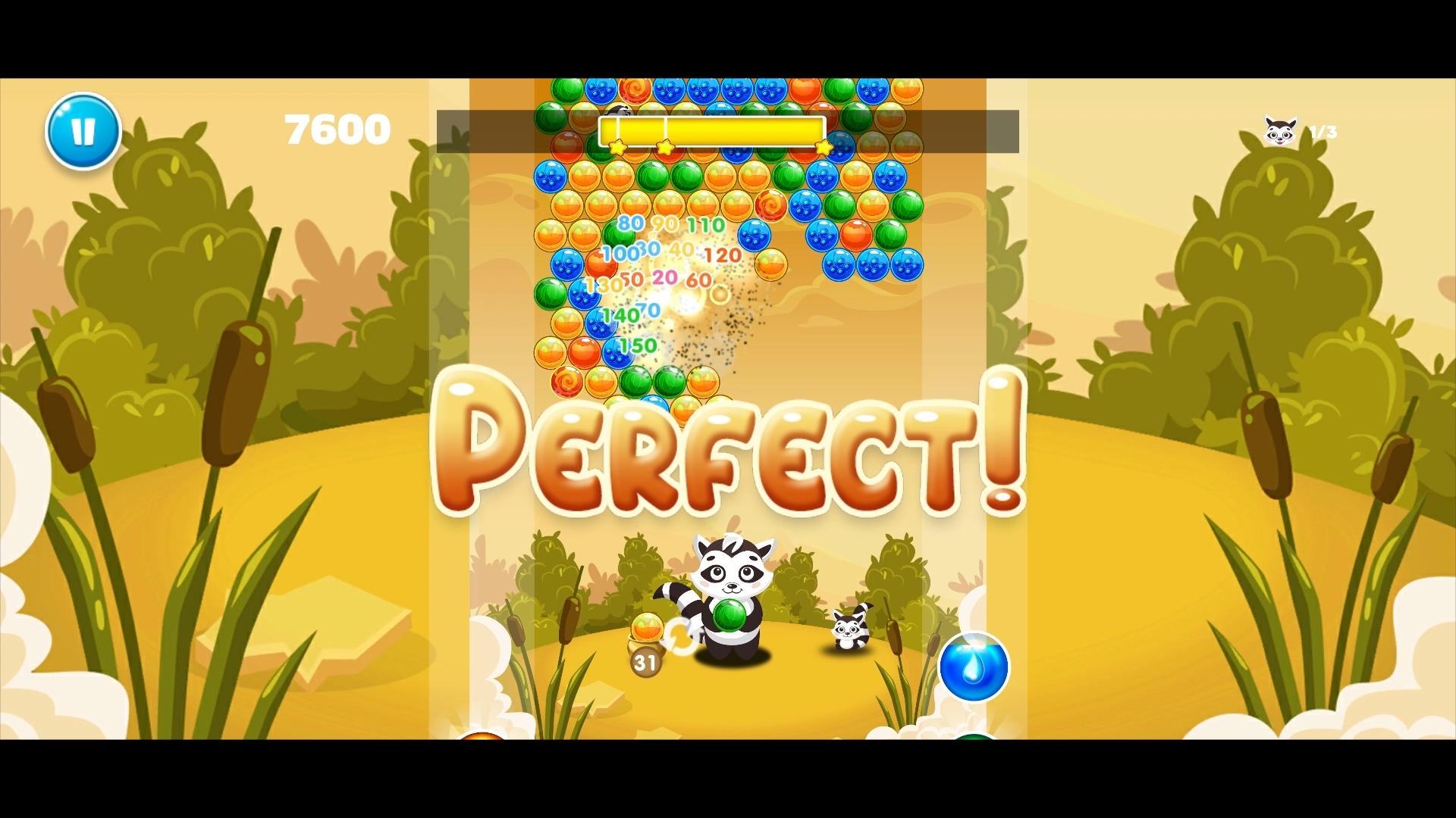 Raccoon Hero: The Marsh