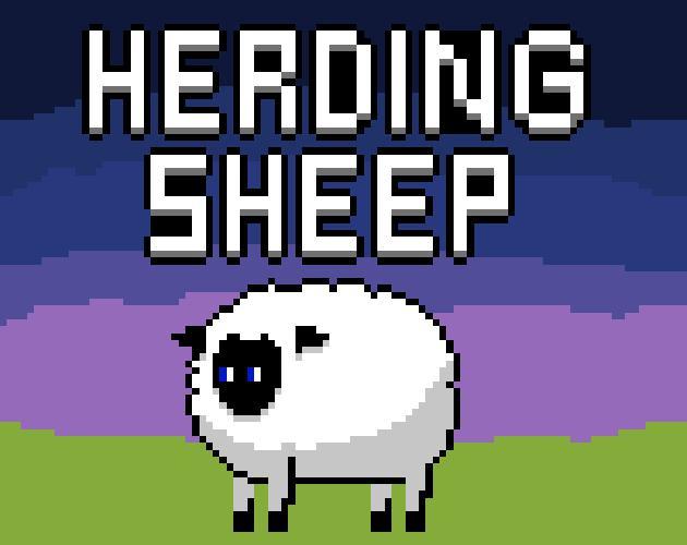 Herding sheep
