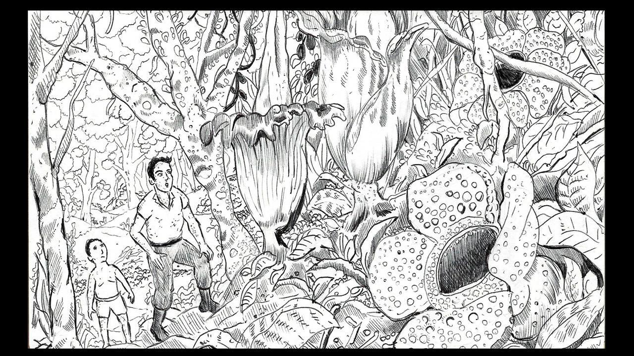 Sumatra: Fate of Yandi - Game + DLC