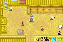 Harvest Moon: Friends of Mineral Town