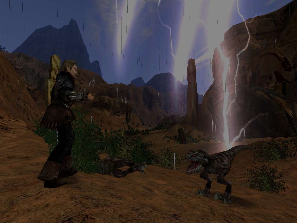 Image 371177