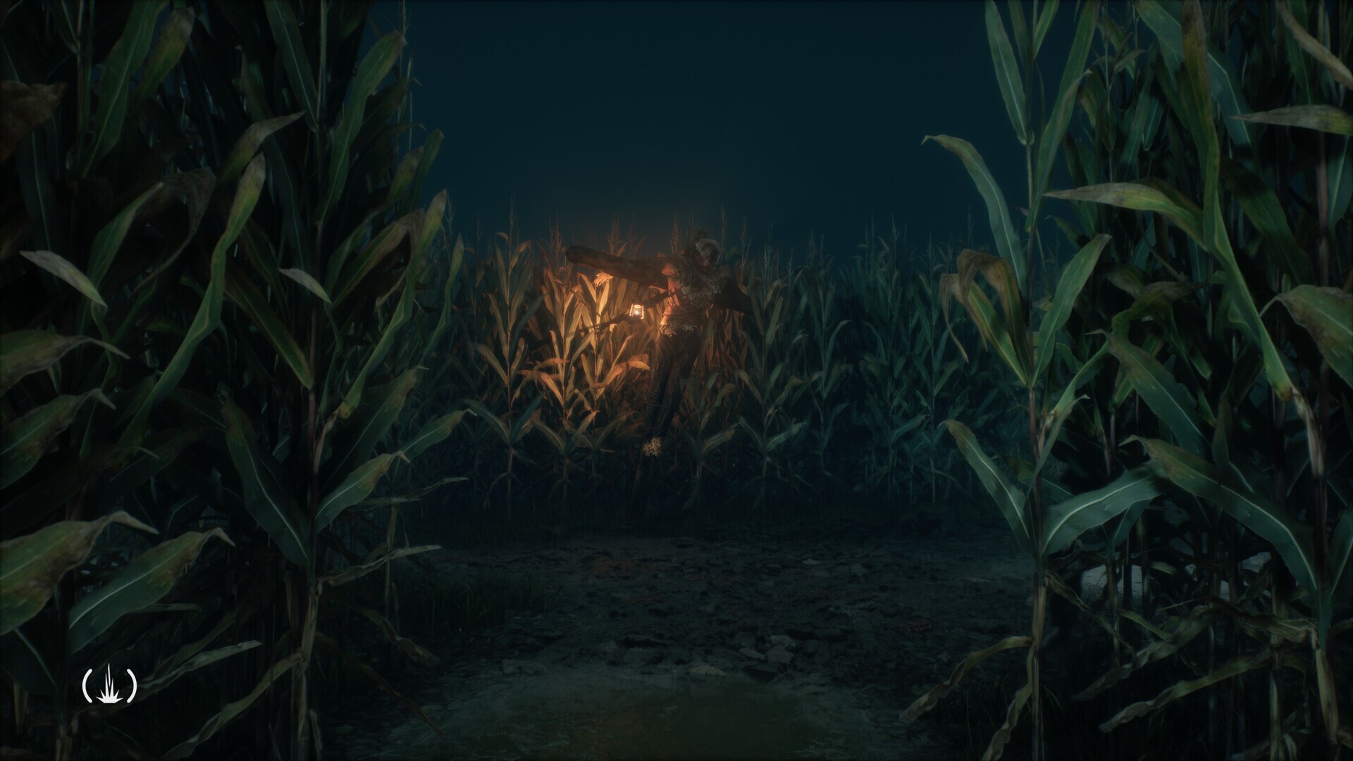 Image 3891227