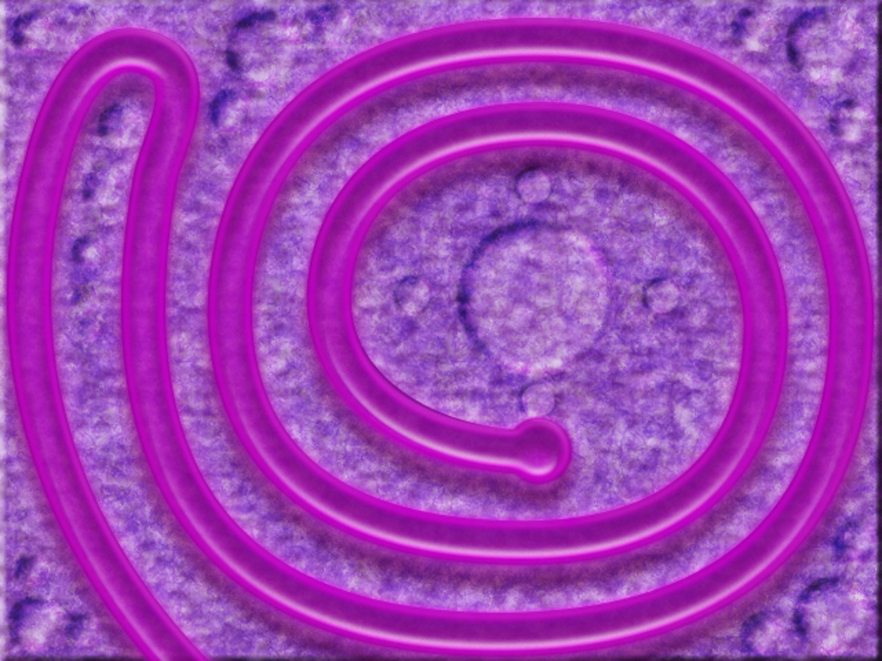 Zuma Mystery of Rainbow Eye 1280x960