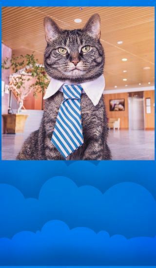 QUIZINATOR BRAIN SCRAMBLER 🧠