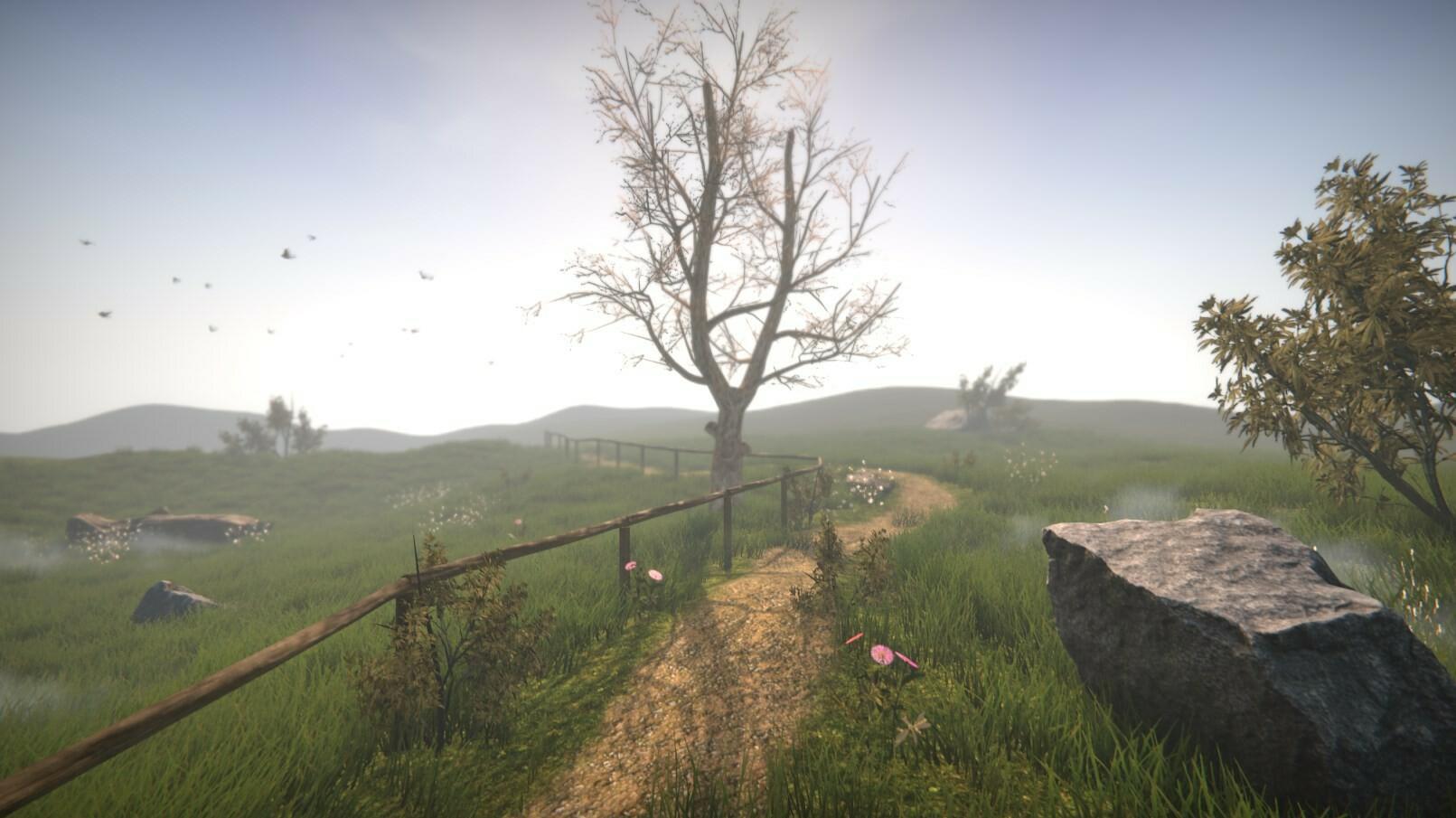 Dr. Emmerson's Nocturnes Demo