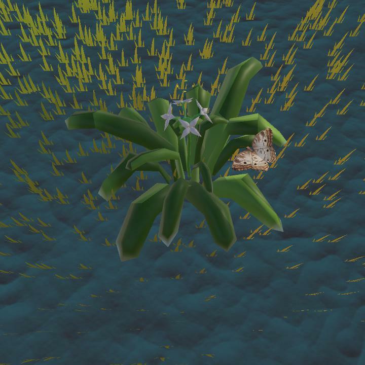 A Glimpse Into: The River of Grass