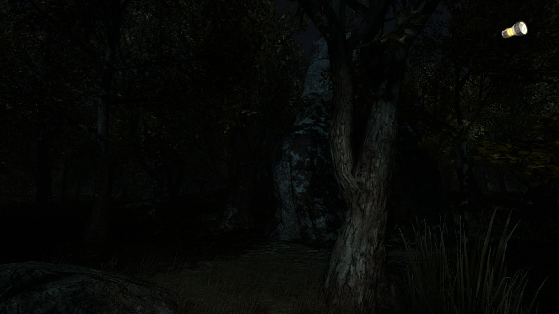 The Secret of Pineview Forest