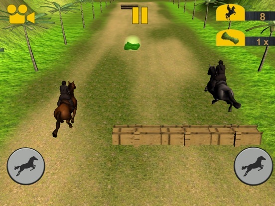 Crazy Horse Racing Champion