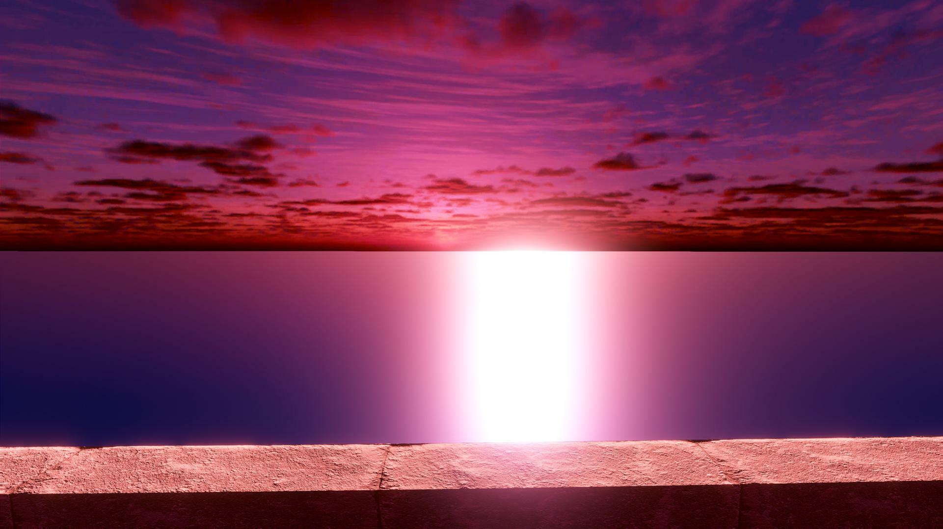 The Network (M-Ansley)