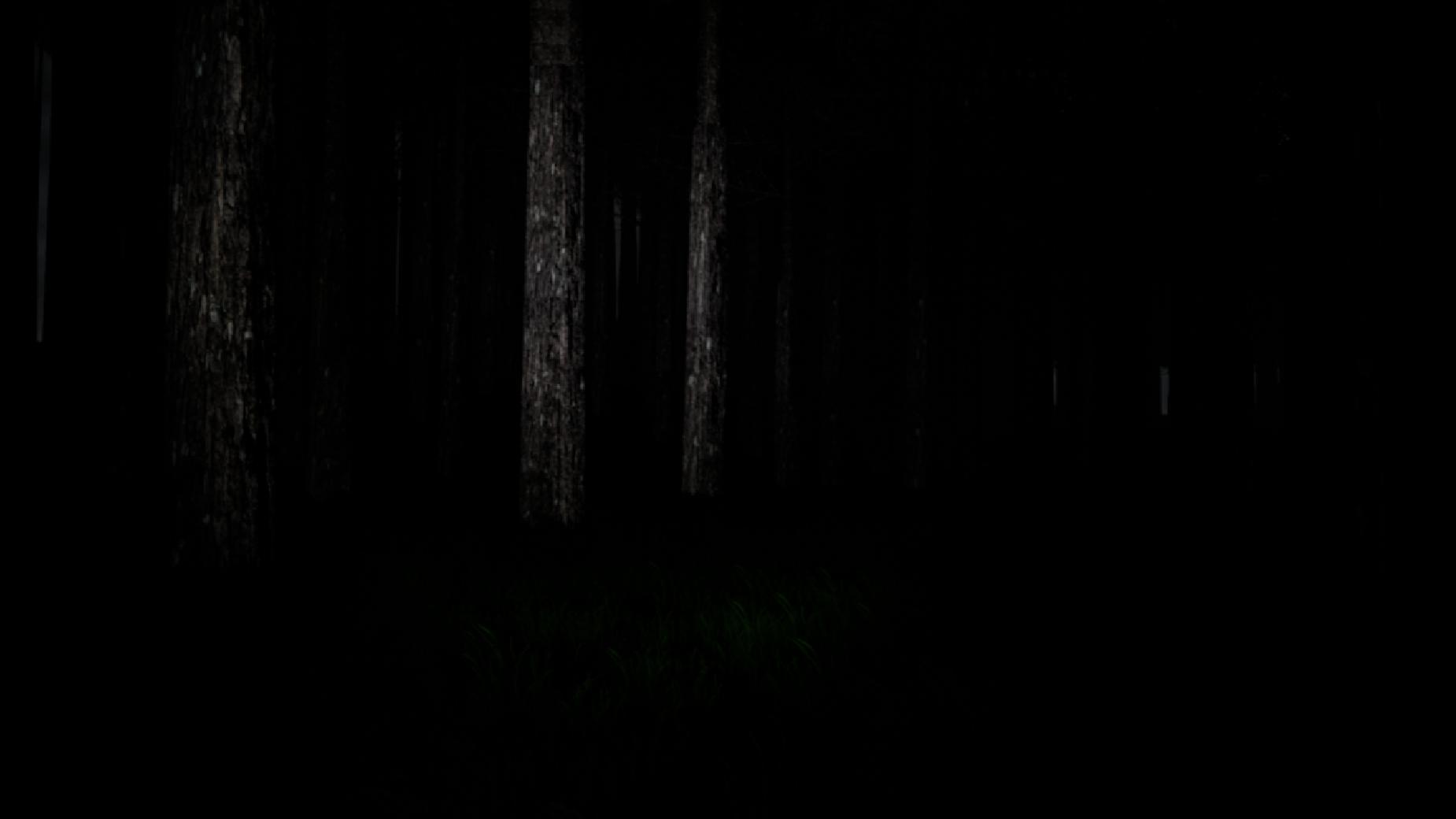 VR Forest