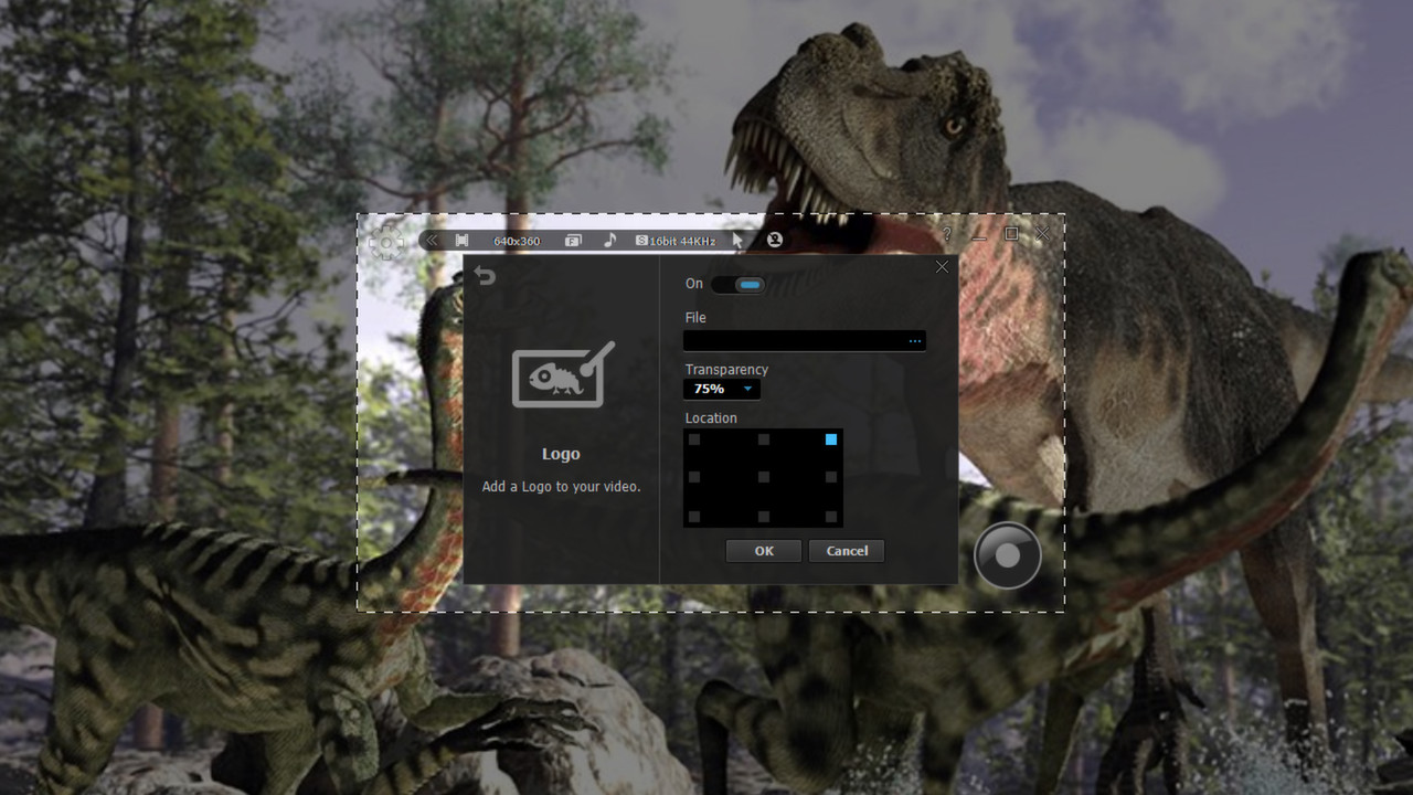 liteCam HD 5.0: Screen/Stream Capture