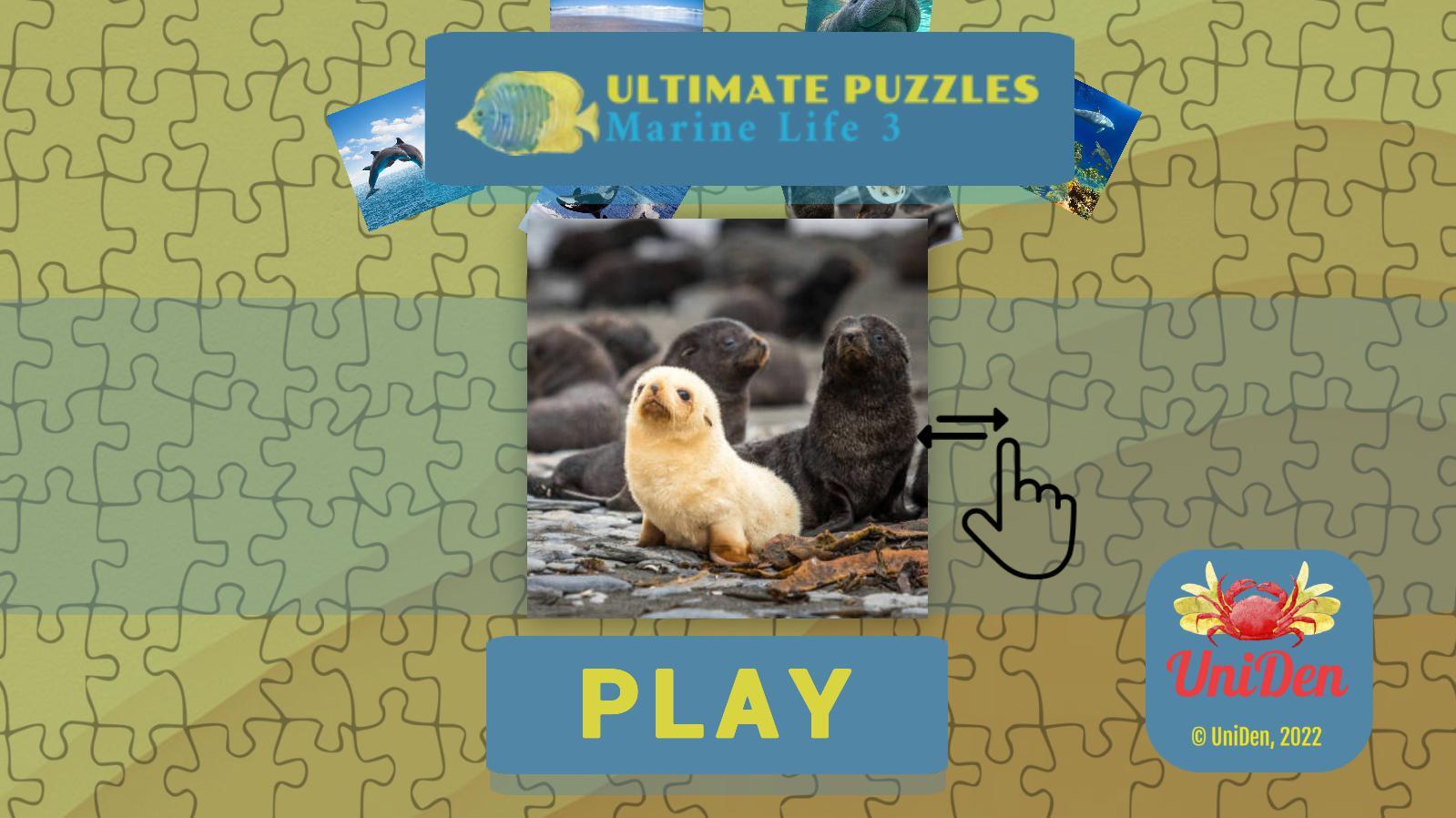 Ultimate Puzzles Marine Life 3