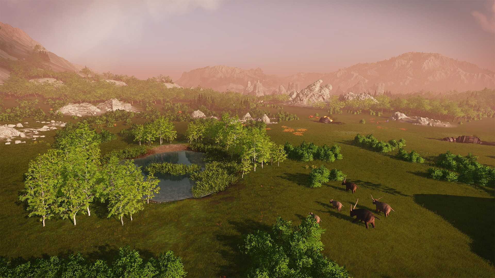 Image 3534294