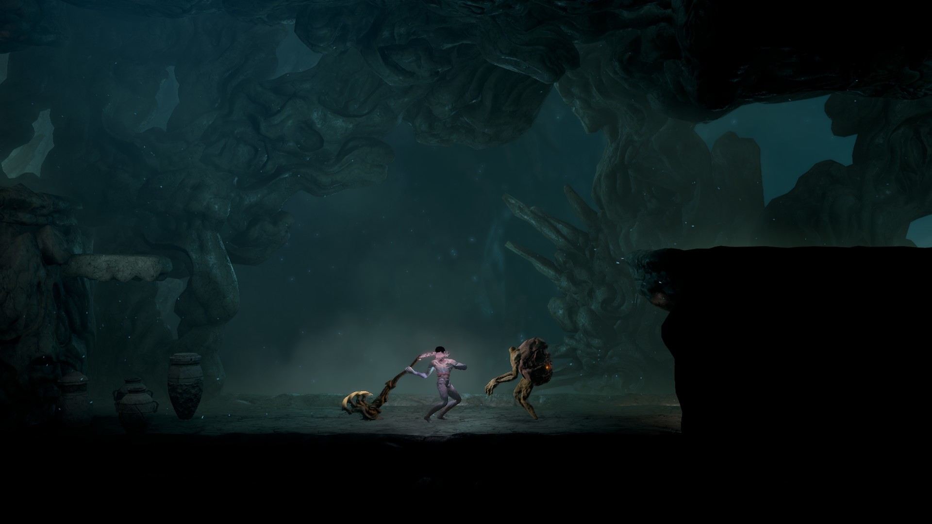Image 2022811