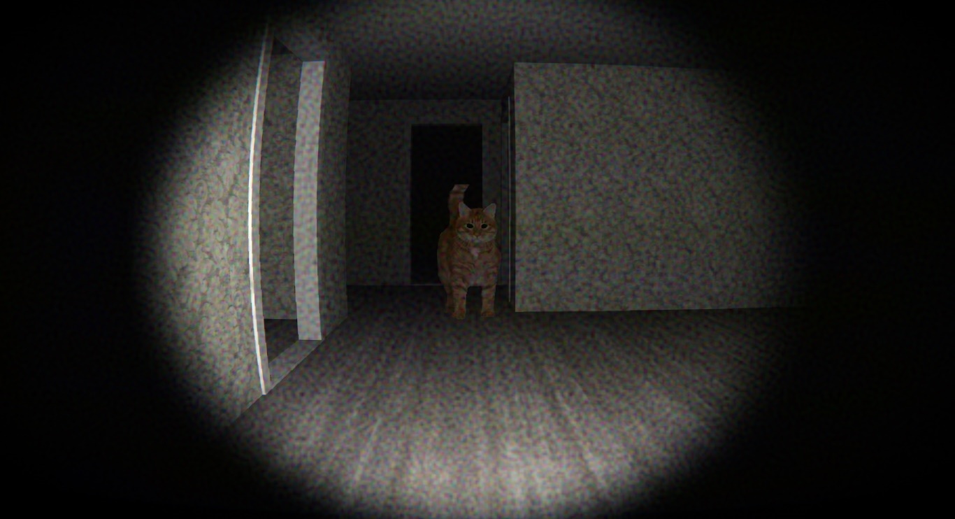 Image 3612470