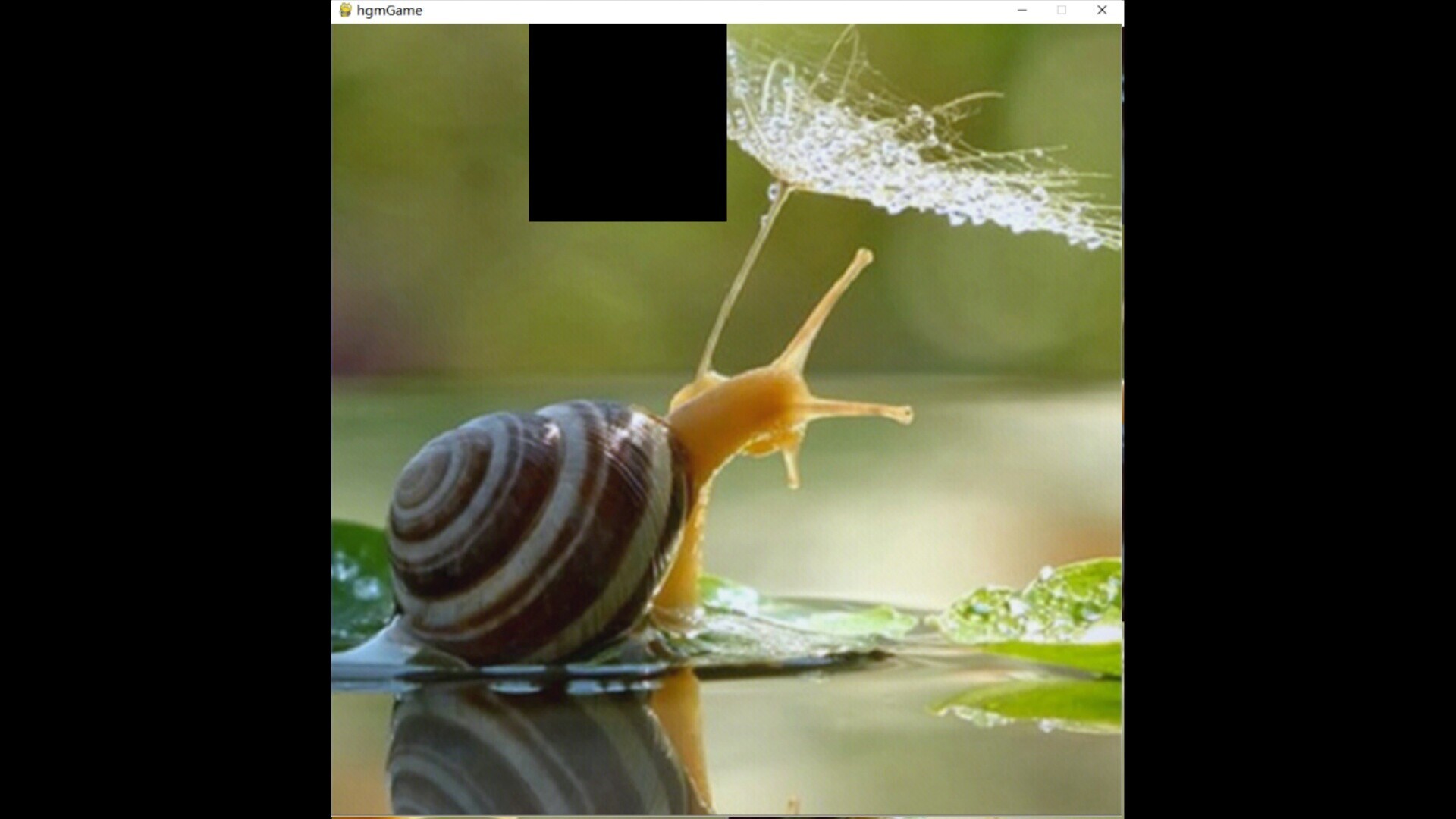hgmGame-snail gameplay visual