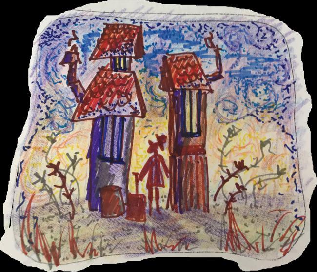 the fields near my home