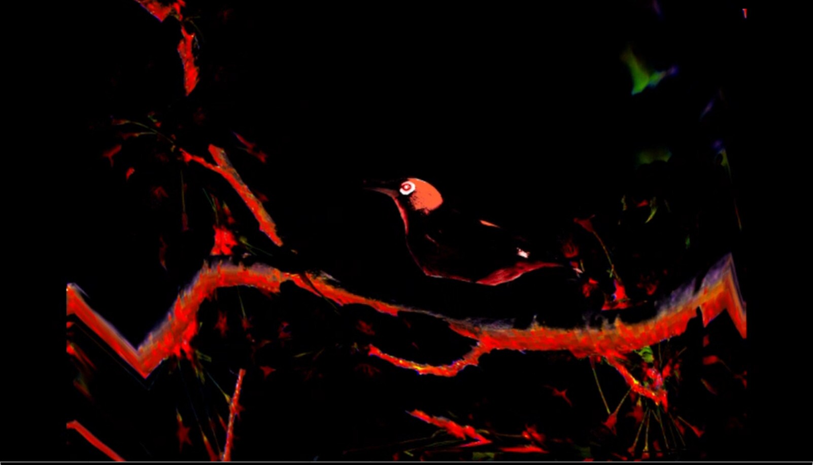 At the Dead of Night