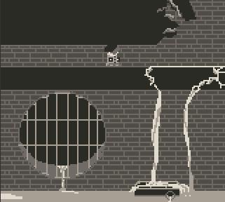 Ancients in New York