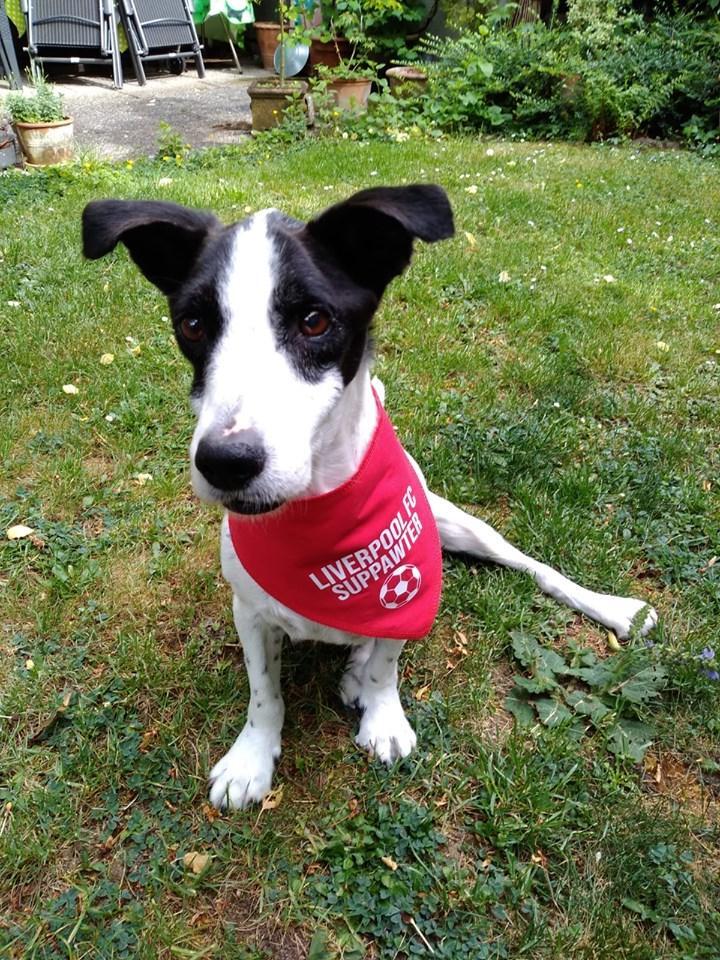 MORITZ THE STRIKER (48K and 128K Version)