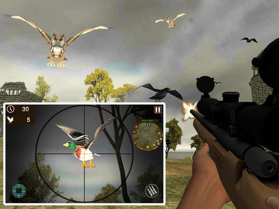 Island Bird Hunting: Shooter Survival
