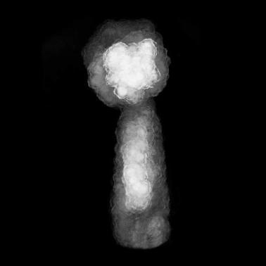 Reminiscence (Ricardo Escobar, TATammy)