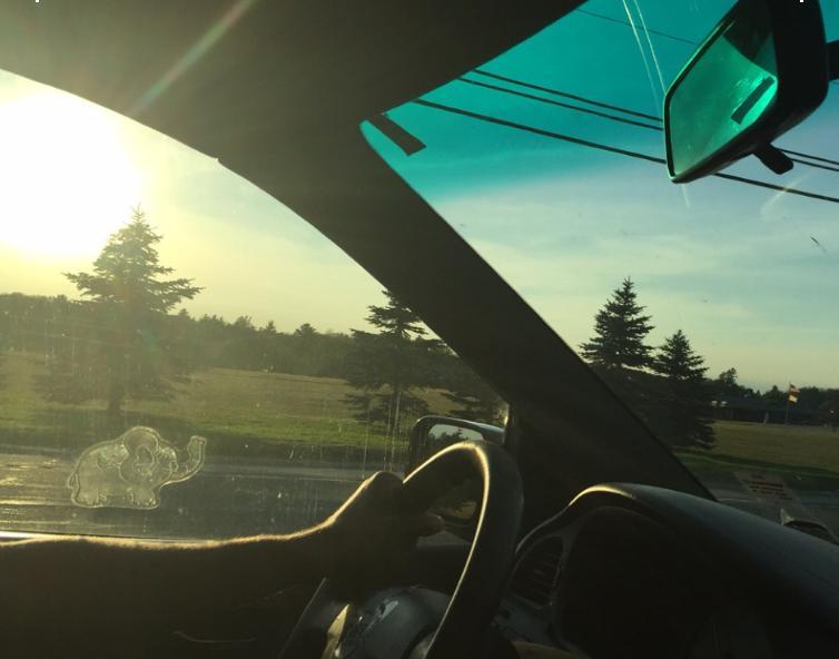 you see: yourself you see: your phone you see: you see: you see