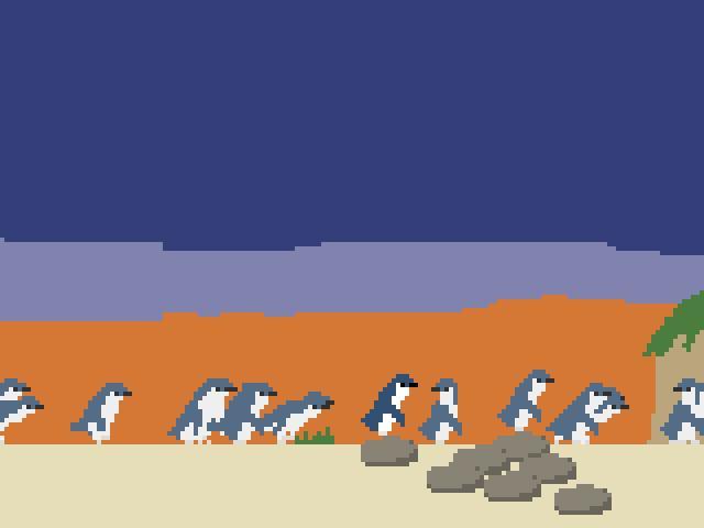 Fairy Penguin Parade
