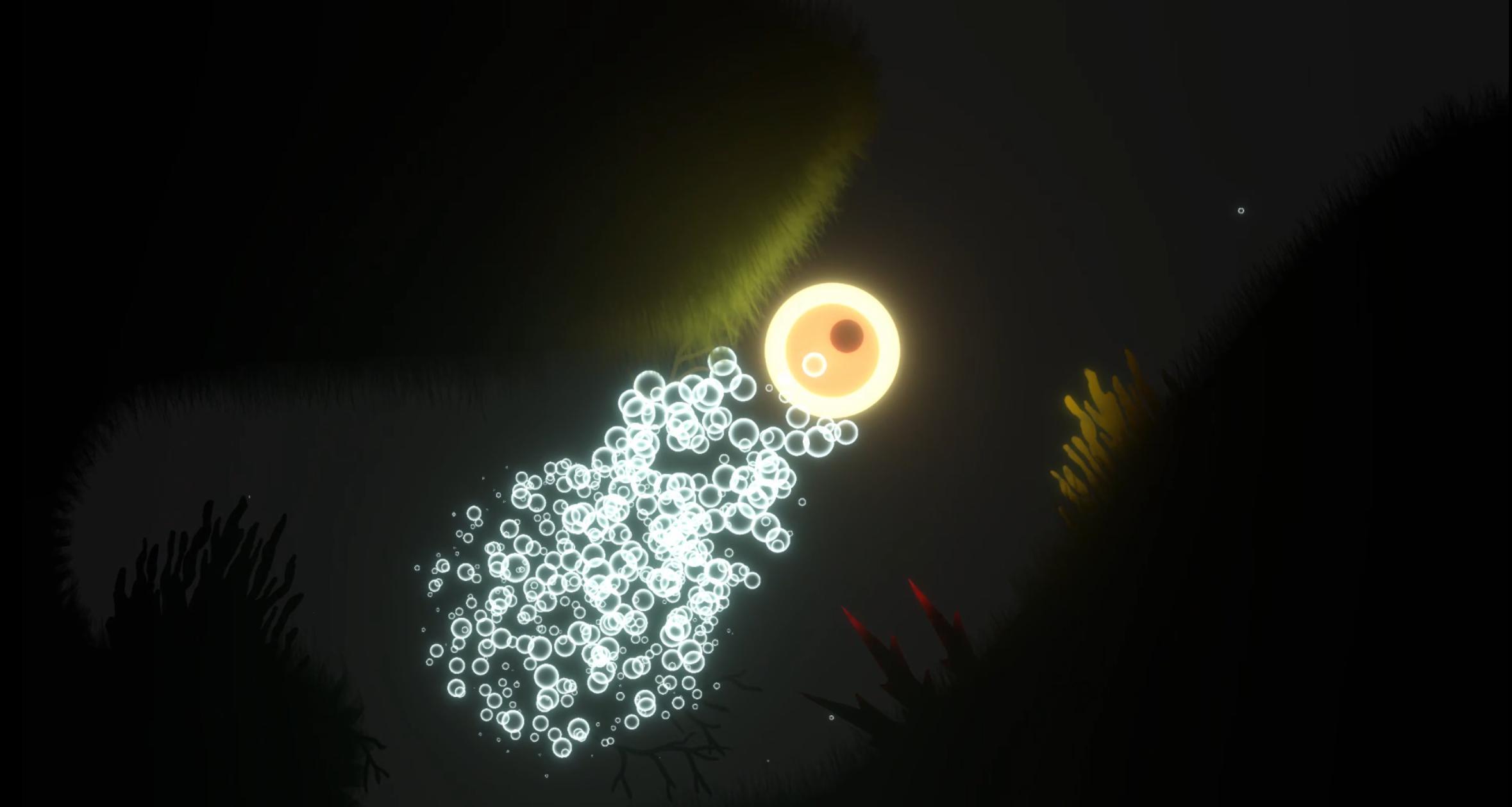 From the little light