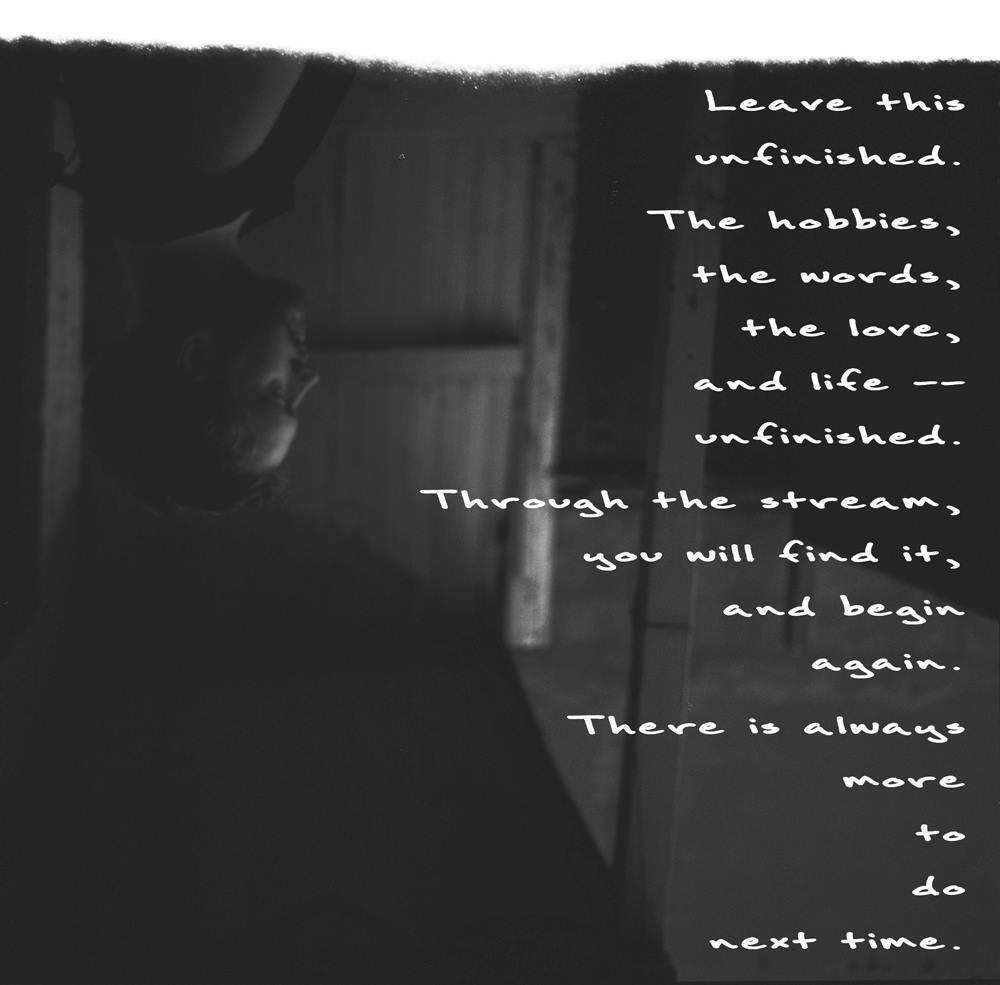 if you could love a wolf like me...