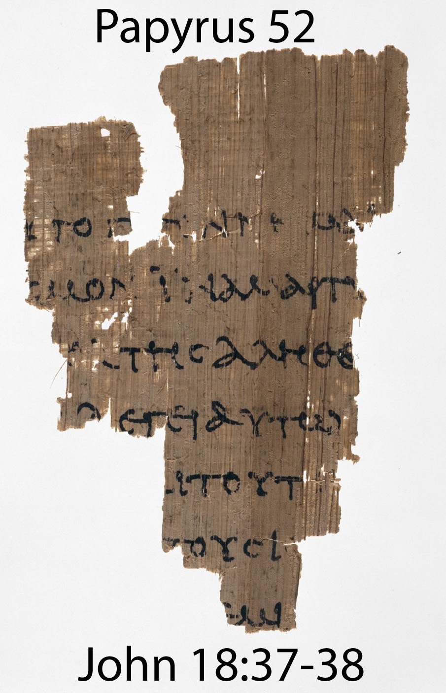 Image 2614717