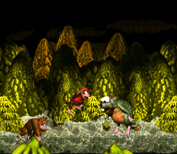 Donkey Kong Country