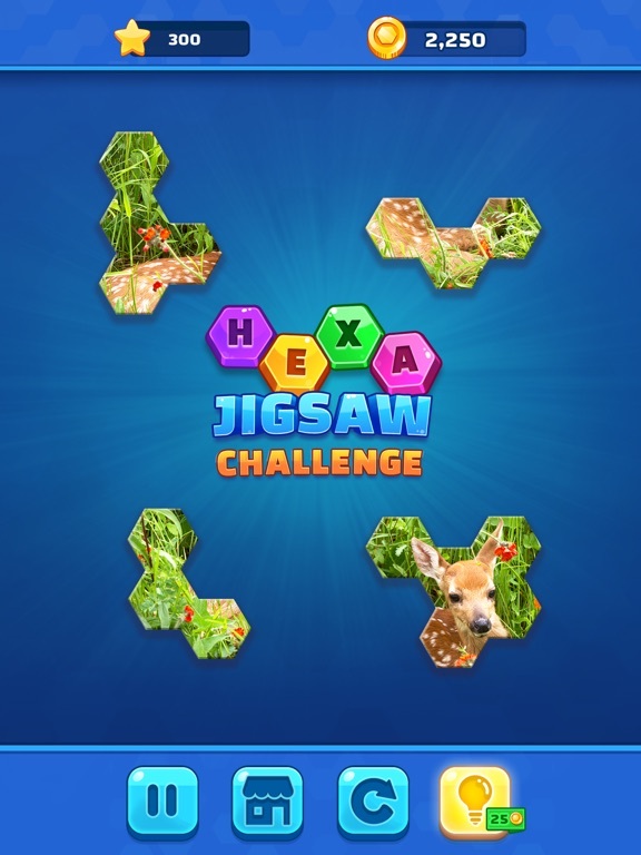 Hexa Jigsaw Challenge