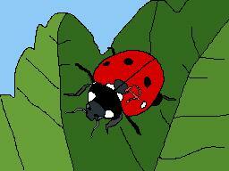 Dawn of the Soviet Ladybirds