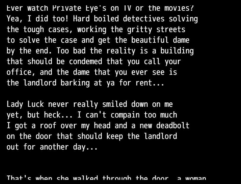 Magnum Bullets: Case Closed (windows)