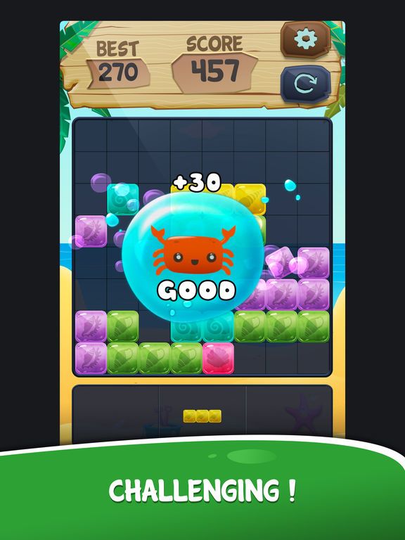 Block Puzzle Blast*