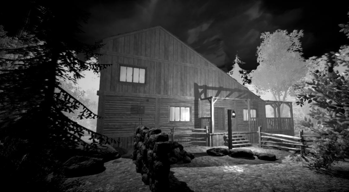 The Shadow (Vikalp Gaur)