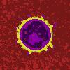 Viral Infection