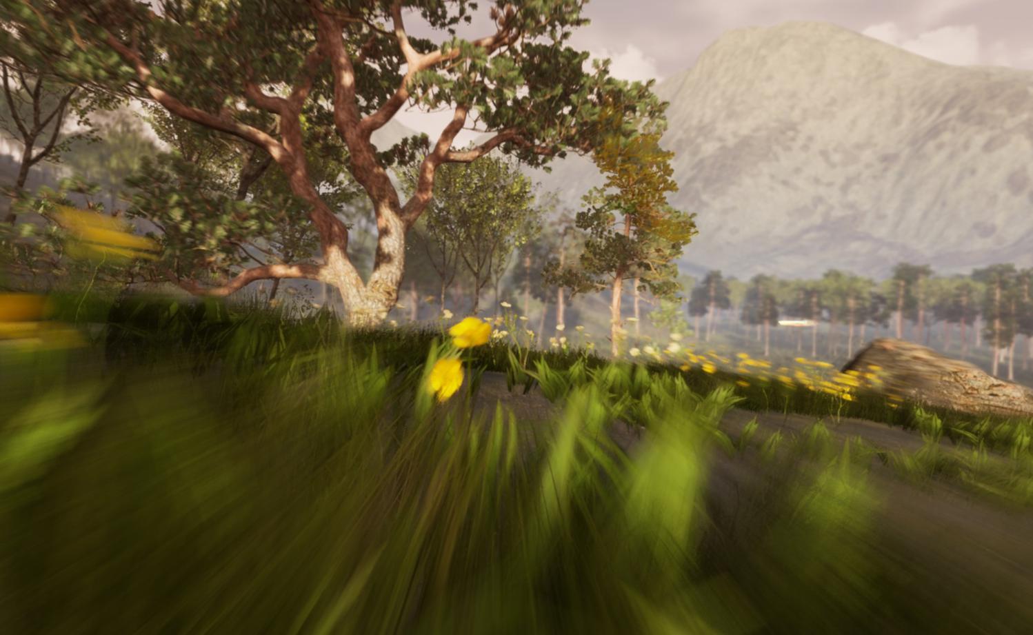 Winds Of A Fallen Soldier