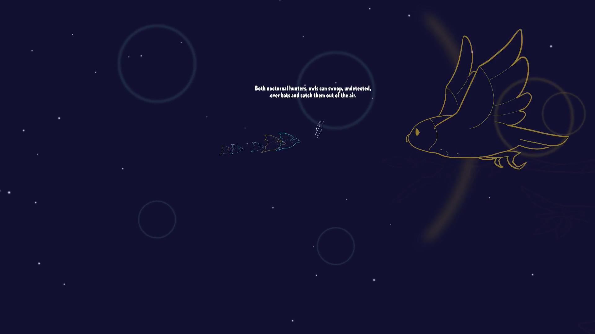 Echo (itch) (Team Echo)